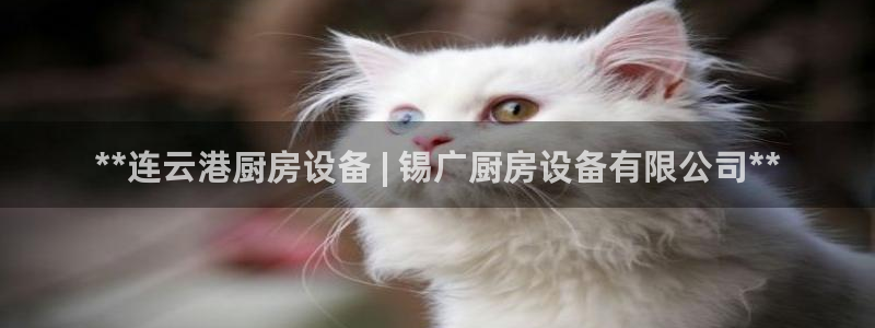 尊龙凯时logo：**连云港厨房设备 | 锡广厨房设备有限公