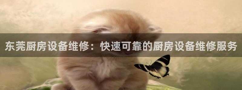 凯时K66最新版本下载：东莞厨房设备维修：快速可靠的厨房设备