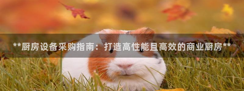 凯时登录平台去AG发财网：**厨房设备采购指南：打造高性能且