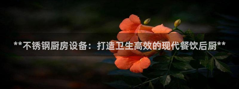 尊龙凯时人生就是搏首页：