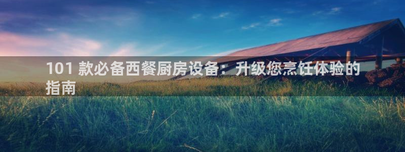 尊龙手机客户端下载APP：101 款必备西餐厨房设备：升级您