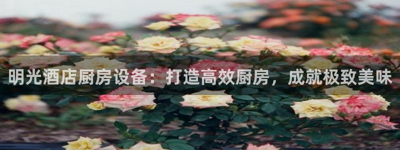 尊龙网址是多少：明光酒店厨房设备：打造高效厨房，成就极致美味