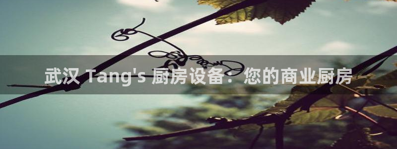 尊龙旗舰厅app：武汉 Tang\'s 厨房设备：您的商业厨