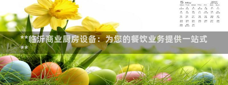 尊龙凯时下载官方正版：**临沂商业厨房设备：为您的餐饮业务提