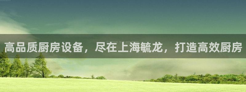 凯时旗舰厅App下载：高品质厨房设备，尽在上海毓龙，打造高效