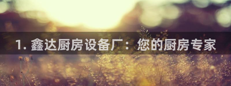 尊龙凯时怎么注册：1. 鑫达厨房设备厂：您的厨房专家