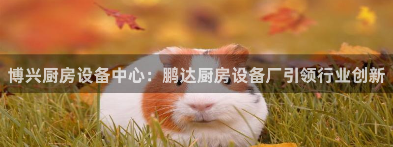 尊龙现在：博兴厨房设备中心：鹏达厨房设备厂引领行业创新