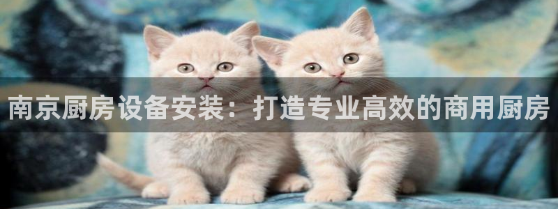 尊龙D88现金旧版：南京厨房设备安装：打造专业高效的商用厨房