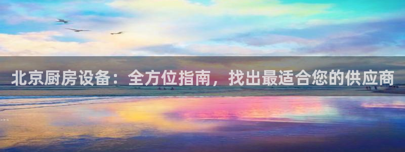 尊龙2021年最新消息：北京厨房设备：全方位指南，找出最适合