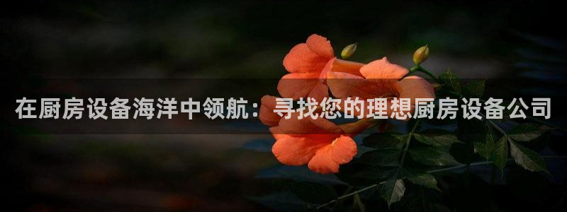 尊龙专访：在厨房设备海洋