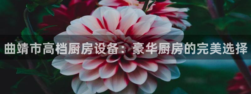 尊龙网站手机下载：曲靖市