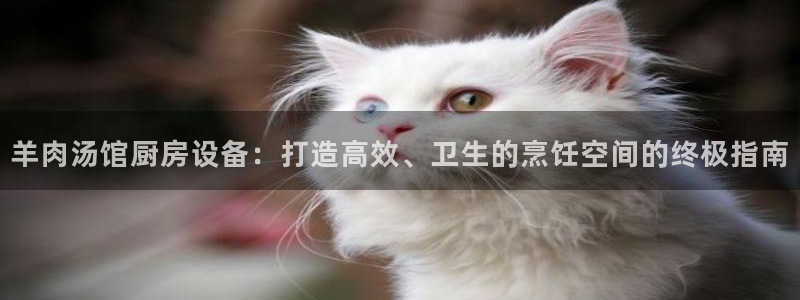 新版尊龙99：羊肉汤馆厨