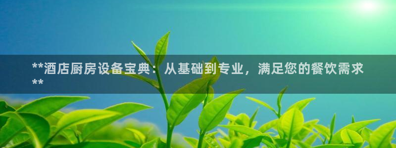 尊龙人生就是博ag旗舰厅：**酒店厨房设备宝典：从基础到专业