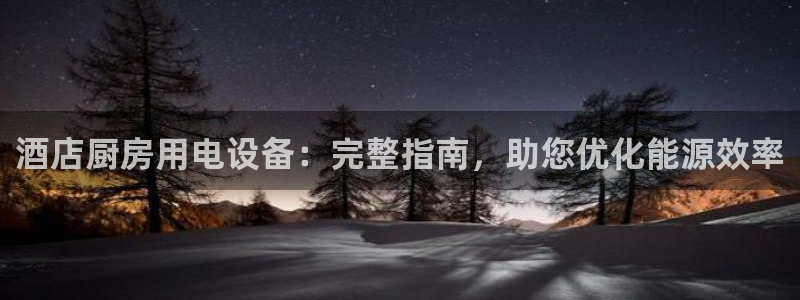 Ag尊龙平台：酒店厨房用电设备：完整指南，助您优化能源效率
