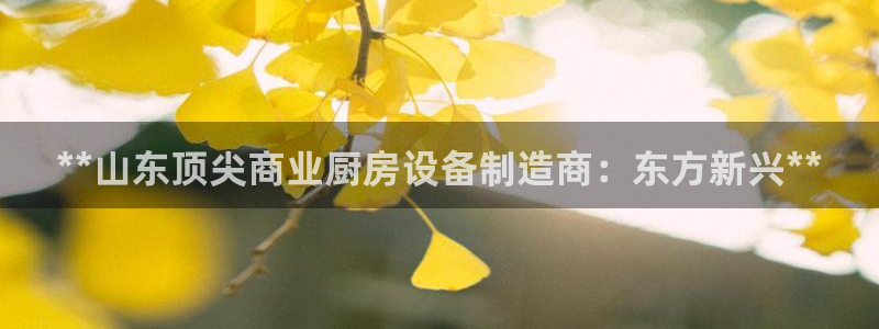 尊龙人生就是博i可靠吗：**山东顶尖商业厨房设备制造商：东方