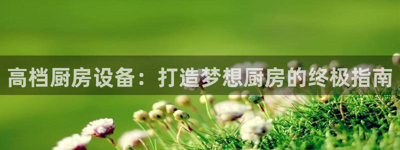 尊龙得过奥斯卡吗：高档厨房设备：打造梦想厨房的终极指南