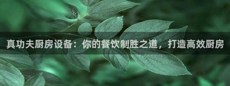 尊龙人品怎么样：真功夫厨房设备：你的餐饮制胜之道，打造高效厨