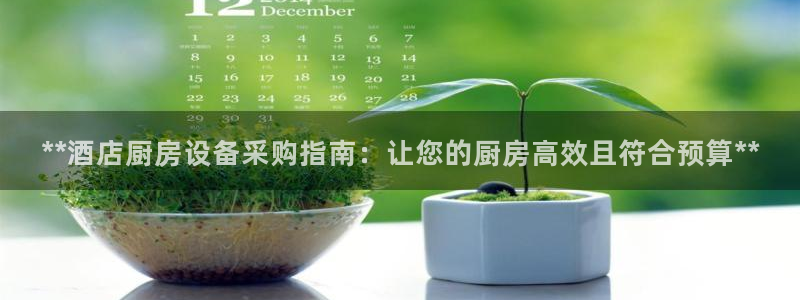 d88尊龙手机登录下载：**酒店厨房设备采购指南：让您的厨房