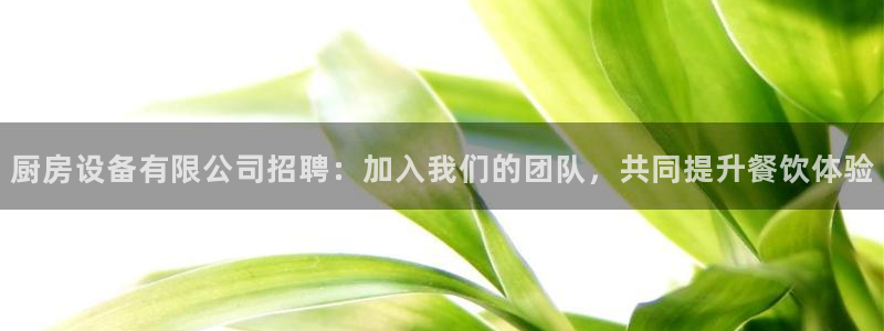 尊龙AG旗舰店：厨房设备