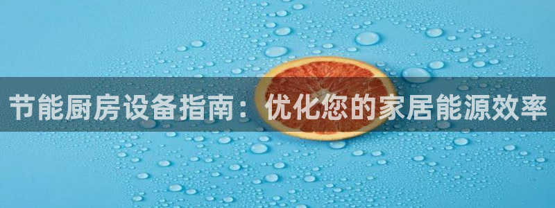 旧版尊龙人生就是博下载：