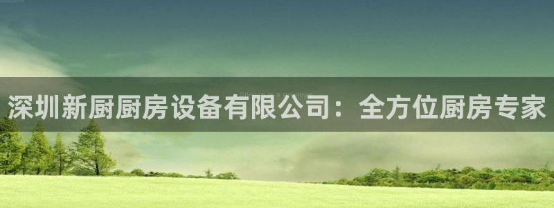 尊龙官方：深圳新厨厨房设备有限公司：全方位厨房专家