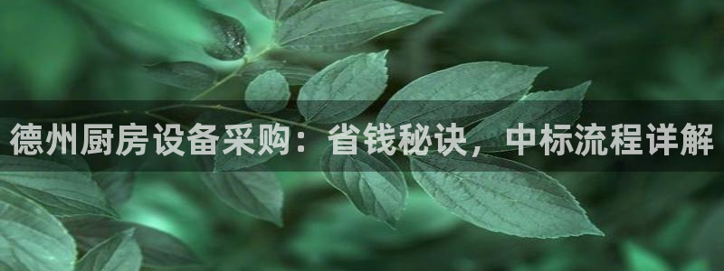 尊龙集团官网：德州厨房设