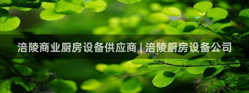 尊龙网站注册站注册：涪陵商业厨房设备供应商 | 涪陵厨房设备