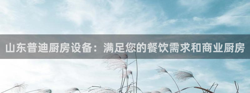 尊龙人生就是博旧版：山东