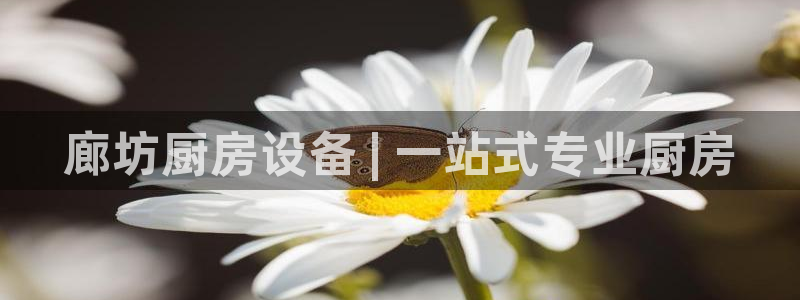 尊龙人生就是博旧版现金娱乐一下