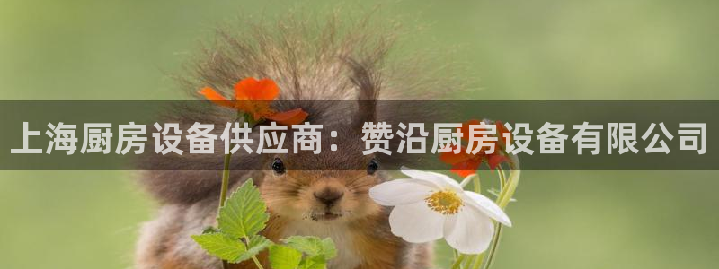 凯时登录界面：上海厨房设备供应商：赞沿厨房设备有限公司