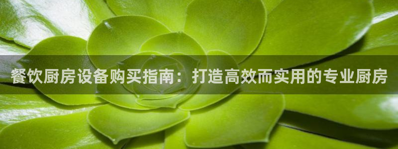 尊龙凯时 - 人生就是搏手机登录：餐饮厨房设备购买指南：打造