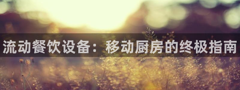 尊龙凯时平台怎么样：流动餐饮设备：移动厨