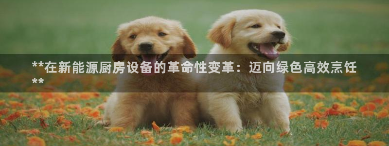尊龙人生就是博ag旗舰厅