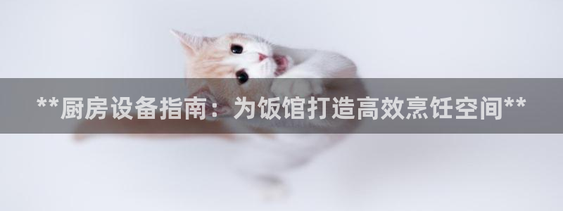 尊龙现金：**厨房设备指南：为饭馆打造高效烹饪空间**