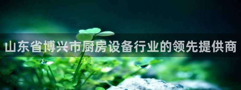 尊龙凯时网站登录：山东省博兴市厨房设备行业的领先提供商
