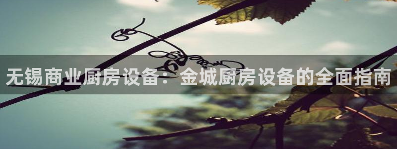 尊龙凯时平台信誉怎样：无