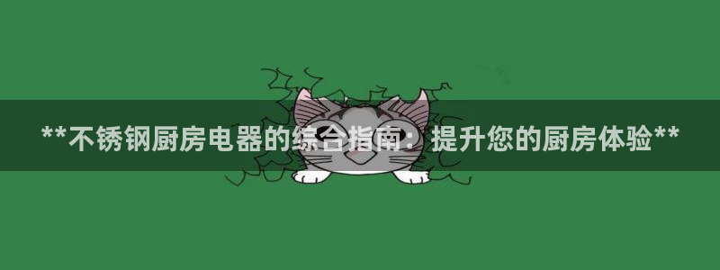 ZL尊龙凯时平台：**不锈钢厨房电器的综合指南：提升您的厨房