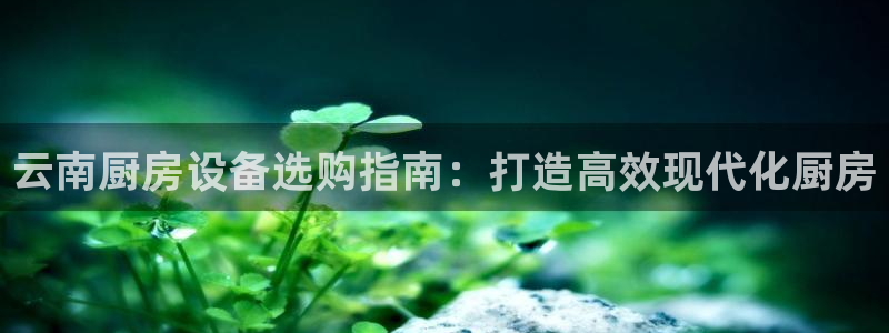 尊龙z6.con：云南厨房设备选购指南：
