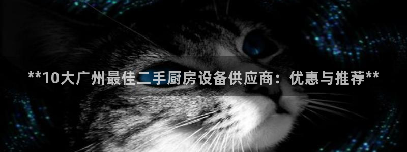 尊龙官网首页：**10大广州最佳二手厨房设备供应商：优惠与推