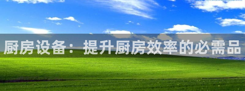 z6尊龙官网：厨房设备：提升厨房效率的必