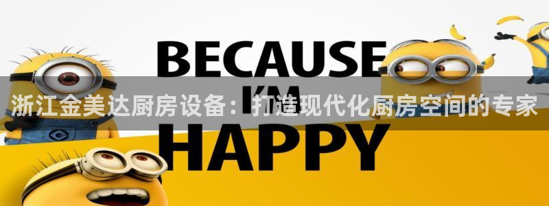 尊龙游戏app官方网站：浙江金美达厨房设