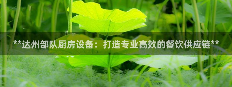 尊龙凯时 人生就是搏!：**达州部队厨房设备：打造专业高效的