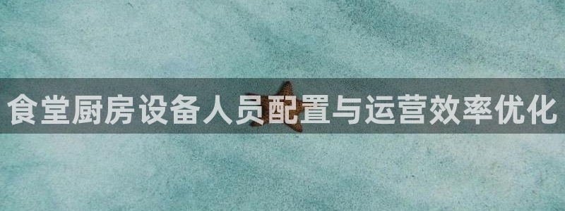 尊龙网站注册站注册：食堂厨房设备人员配置与运营效率优化