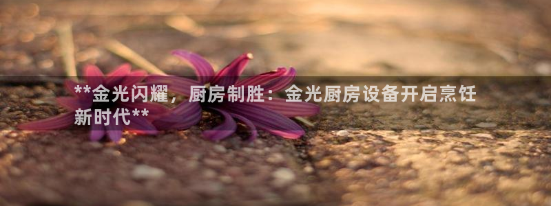 尊龙ag