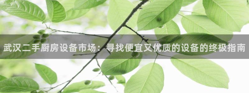 尊龙d88手机版下载：武