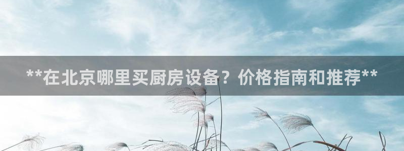 百度一下尊龙：**在北京哪里买厨房设备？价格指南和推荐**