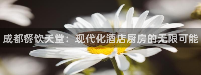 尊龙人生就是博用现金玩一下