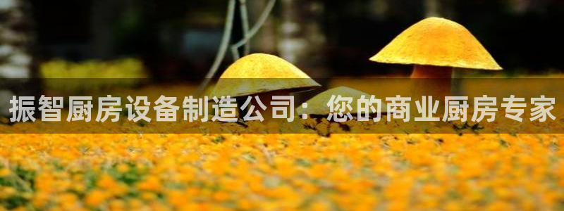 尊龙官网登录·(中国)官
