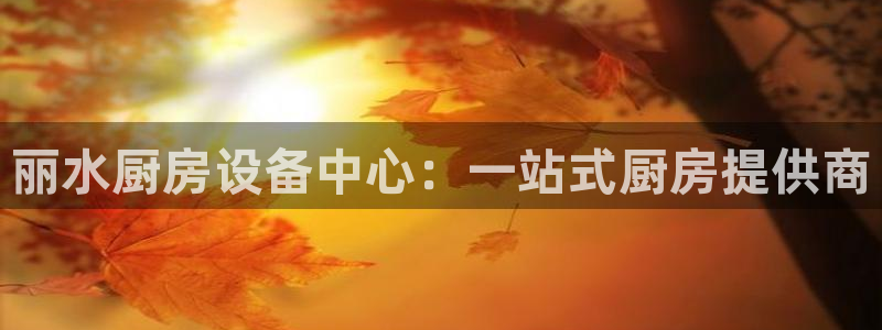 尊龙集团有限公司是国企吗
