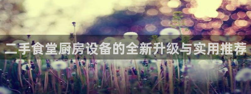 尊龙人生就是博客服